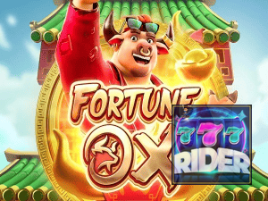 RIDER 777 login — painel de entrada no app oficial